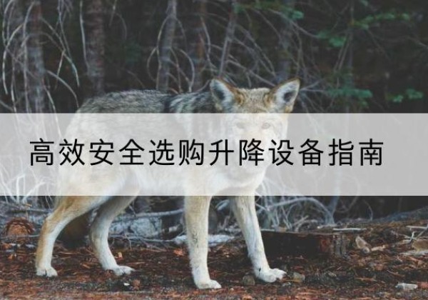 濉溪升降货梯厂家推荐-*安全选购升降设备指南
