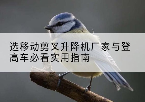 濉溪电动升降机厂家-选移动剪叉升降机厂家与登高车必看实用指南
